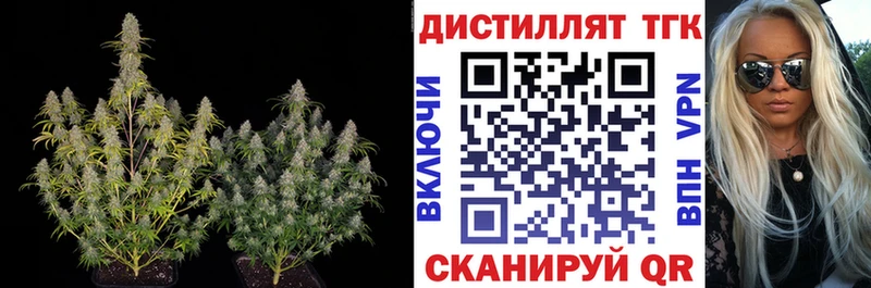 где найти наркотики  гидра как зайти  Дистиллят ТГК жижа  Томилино 