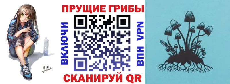 Псилоцибиновые грибы мухоморы Томилино